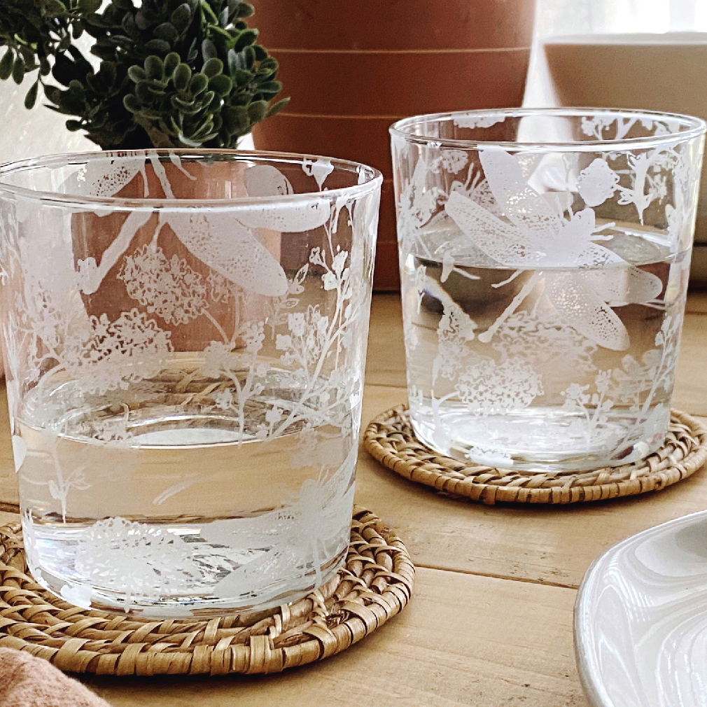 Dragonfly Glass Kit